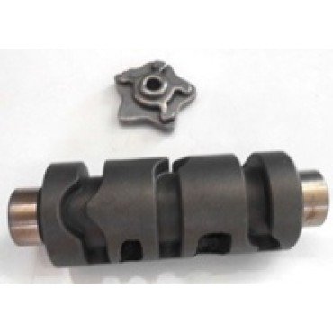 Arora Cg  Vi̇tes Topuzu